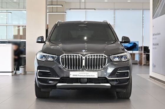 BMW X5 xDrive 40i xLine — пробег 87 204 км — фото 3 из 5