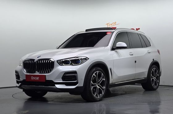 BMW X5 xDrive 30d xLine — пробег 112 633 км — фото 1 из 5