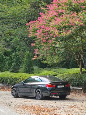 BMW 4-Series 420d xDrive M Sport Coupe — пробег 179 000 км — фото 5 из 5