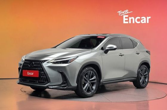 Lexus NX Premium — пробег 41 920 км — фото 1 из 5