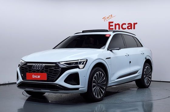 Audi Q8 e-tron 55 Quattro Premium — пробег 13 362 км — фото 1 из 5