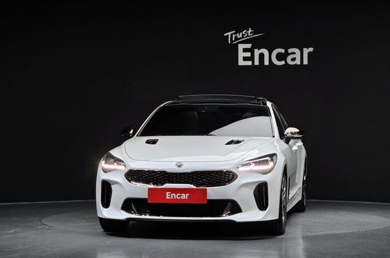 Kia Stinger 2.0 Turbo 2WD Platinum — пробег 181 860 км — фото 3 из 5