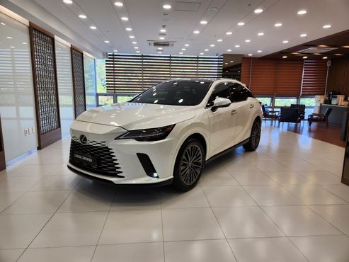 Lexus RX Luxury — пробег 59 417 км — фото 1 из 5