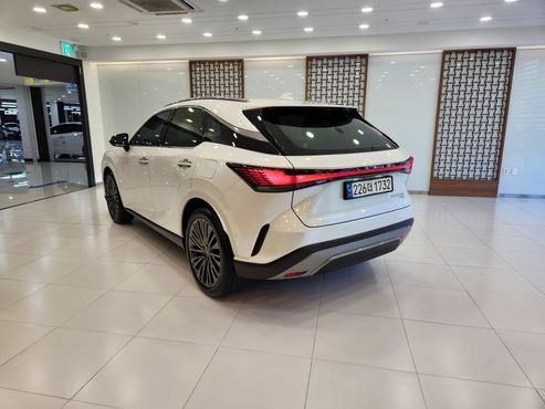 Lexus RX Luxury — пробег 59 417 км — фото 2 из 5