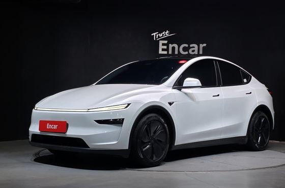 Tesla Model Y Long Range AWD — пробег 28 483 км — фото 1 из 5