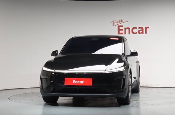 Tesla Model Y Long Range AWD — пробег 19 895 км — фото 3 из 5