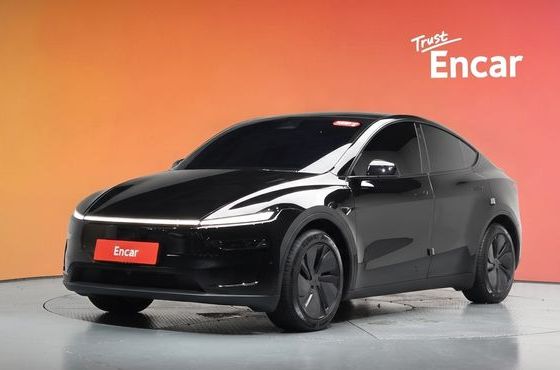 Tesla Model Y Long Range AWD — пробег 19 895 км — фото 1 из 5