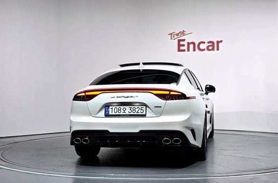 Kia Stinger 2.5 AWD Masters — пробег 95 248 км — фото 4 из 5