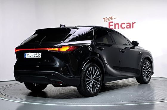 Lexus RX Luxury — пробег 48 252 км — фото 2 из 5