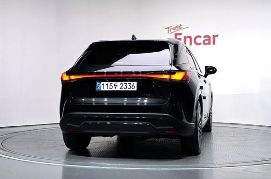 Lexus RX Luxury — пробег 48 252 км — фото 4 из 5