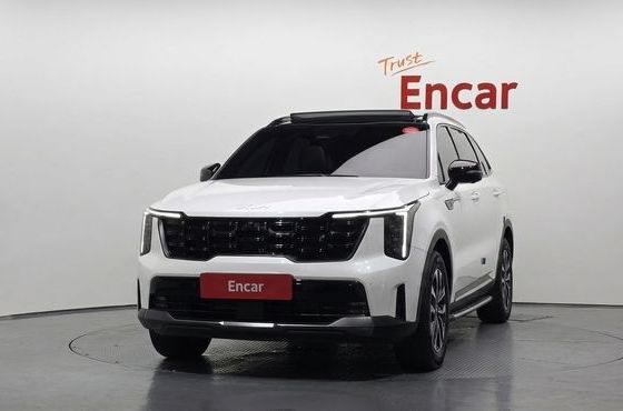 Kia Sorento HEV 1.6 2WD Gravity — пробег 49 849 км — фото 3 из 5