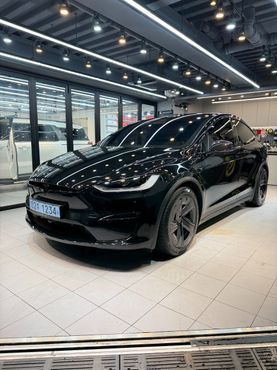 Tesla Model X AWD — пробег 274 км — фото 1 из 5