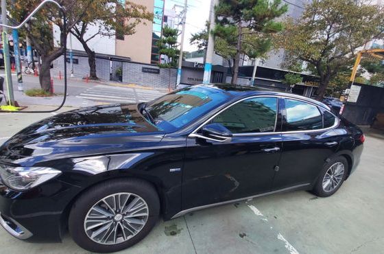 Hyundai Grandeur Exclusive Special — пробег 195 000 км — фото 1 из 5