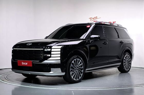 Hyundai Palisade Gasoline 2.5T 4WD 9-Seater Calligraphy — пробег 27 395 км — фото 1 из 5