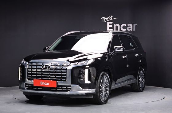Hyundai Palisade Diesel 2.2 4WD Calligraphy — пробег 161 153 км — фото 1 из 5