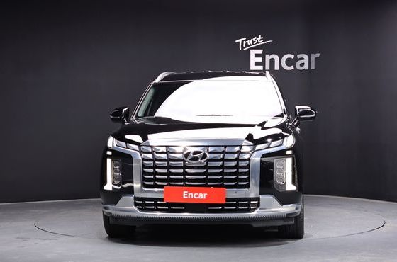 Hyundai Palisade Diesel 2.2 4WD Calligraphy — пробег 161 153 км — фото 3 из 5