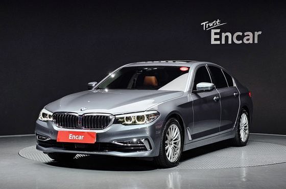 BMW 5-Series 520i Luxury — пробег 51 242 км — фото 1 из 5