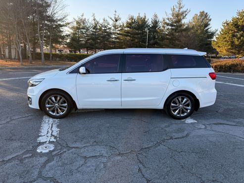 Kia Carnival 9-seater Noblesse — пробег 250 310 км — фото 3 из 5