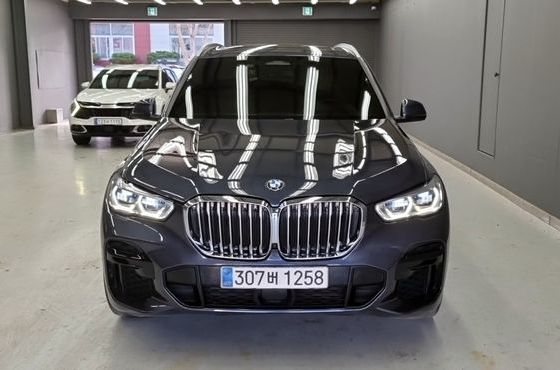 BMW X5 xDrive 40i M Sport — пробег 36 765 км — фото 1 из 5