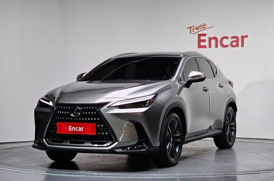 Lexus NX Premium — пробег 3 361 км — фото 1 из 5