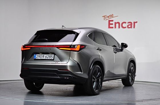 Lexus NX Premium — пробег 3 361 км — фото 2 из 5