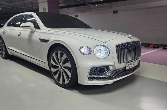 Bentley Flying Spur 4.0 — пробег 28 464 км — фото 3 из 5