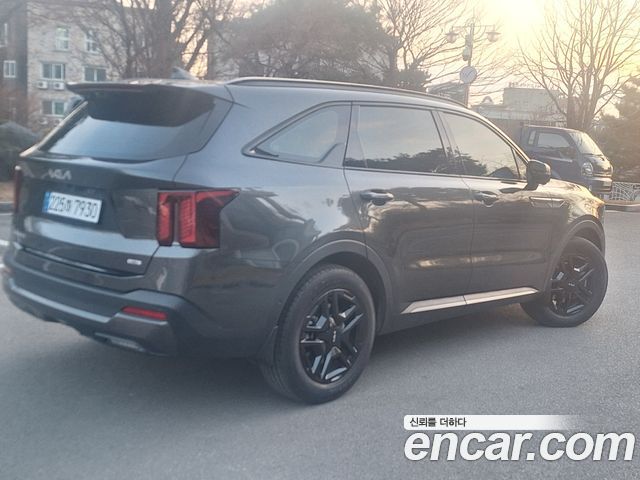 Kia Sorento HEV 1.6 4WD Gravity — пробег 12 000 км — фото 5 из 5
