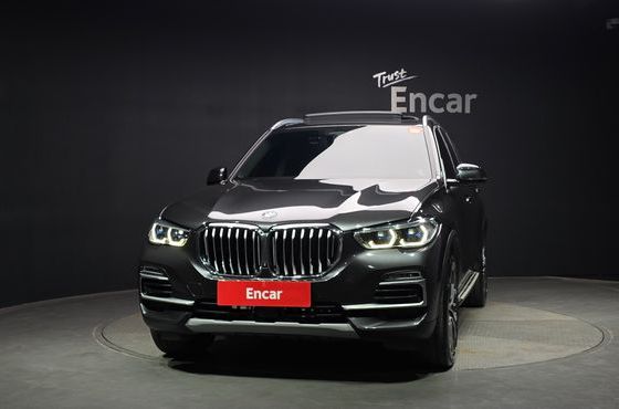 BMW X5 xDrive 40i xLine — пробег 113 179 км — фото 3 из 5