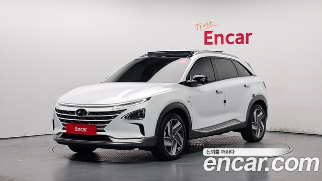 Hyundai Nexo Premium — пробег 34 110 км — фото 1 из 5