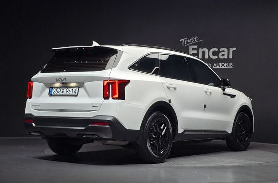 Kia Sorento HEV 1.6 2WD Gravity — пробег 27 826 км — фото 2 из 5
