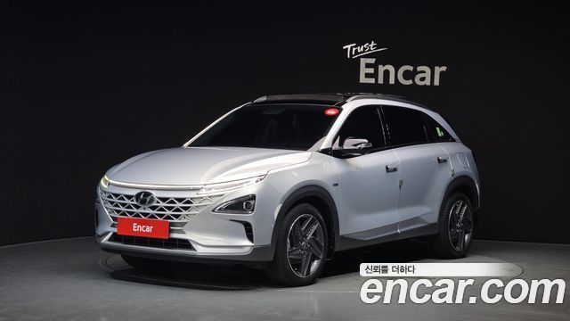 Hyundai Nexo Premium — пробег 134 385 км — фото 1 из 5