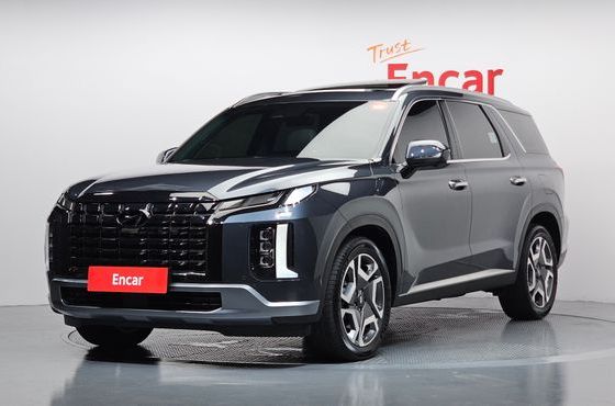 Hyundai Palisade Diesel 2.2 4WD Le Blanc — пробег 33 393 км — фото 1 из 5
