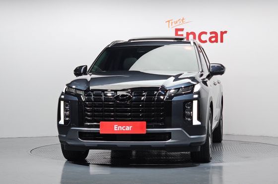 Hyundai Palisade Diesel 2.2 4WD Le Blanc — пробег 33 393 км — фото 3 из 5