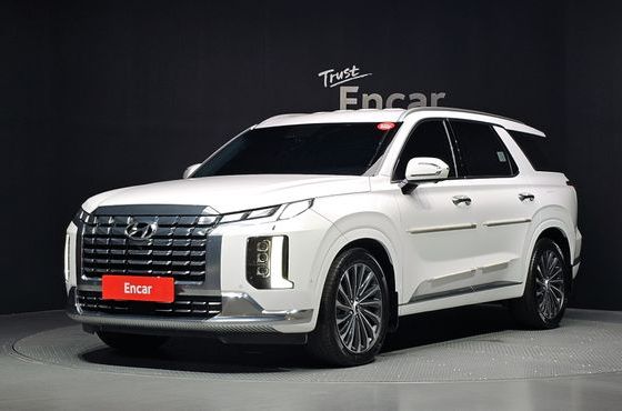 Hyundai Palisade Diesel 2.2 4WD Calligraphy — пробег 46 194 км — фото 1 из 5