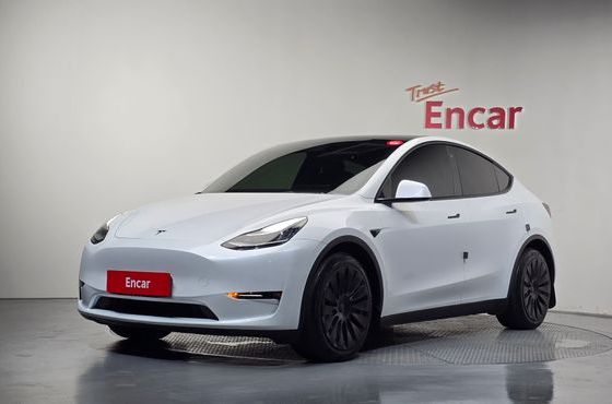Tesla Model Y Long Range AWD — пробег 59 541 км — фото 1 из 5