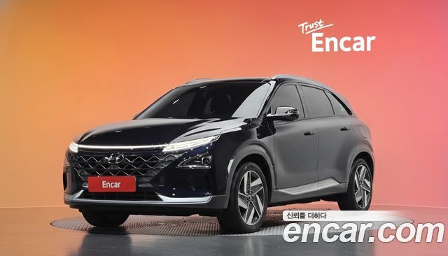 Hyundai Nexo Premium — пробег 66 772 км — фото 1 из 5