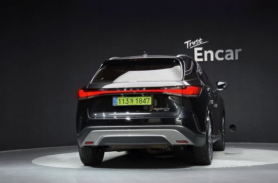 Lexus RX Luxury — пробег 21 600 км — фото 4 из 5