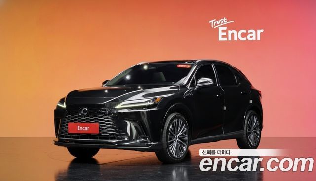 Lexus RX Luxury — пробег 21 600 км — фото 1 из 5