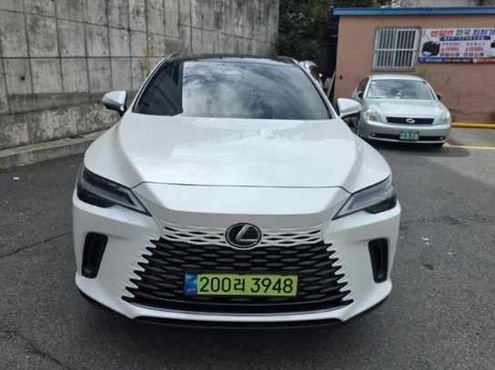 Lexus RX Luxury — пробег 15 000 км — фото 1 из 5