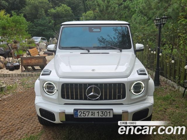 Mercedes-Benz G-Class G450d — пробег 18 000 км — фото 1 из 5