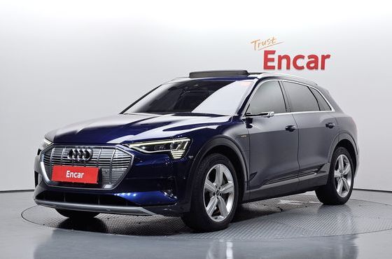 Audi e-tron 50 Quattro — пробег 109 500 км — фото 1 из 5