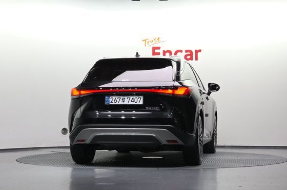 Lexus RX Luxury — пробег 10 982 км — фото 4 из 5