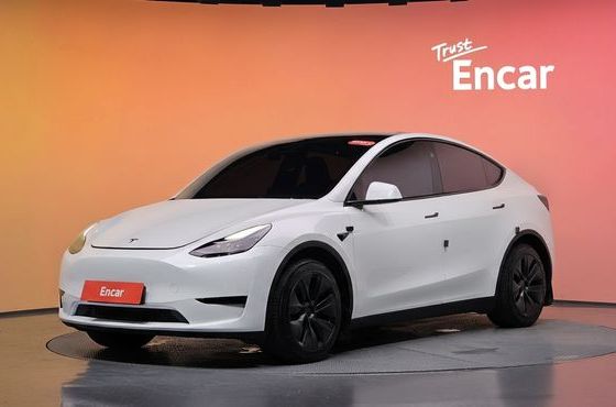 Tesla Model Y RWD — пробег 43 272 км — фото 1 из 5