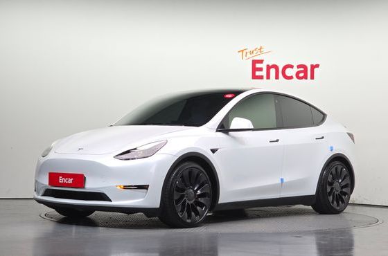 Tesla Model Y Performance AWD — пробег 109 186 км — фото 1 из 5