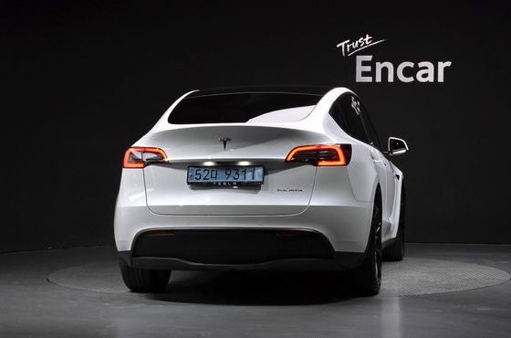 Tesla Model Y Long Range AWD — пробег 51 332 км — фото 4 из 5