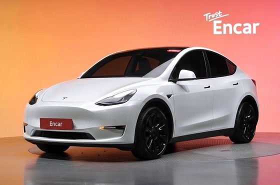 Tesla Model Y Long Range AWD — пробег 51 332 км — фото 1 из 5