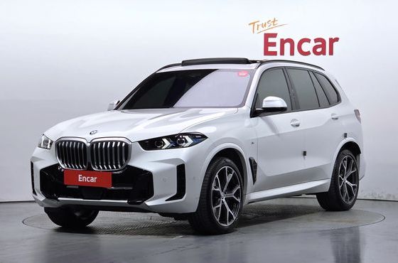BMW X5 xDrive 40i M Sport — пробег 24 228 км — фото 1 из 5