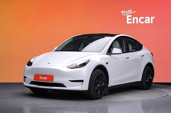 Tesla Model Y RWD — пробег 29 044 км — фото 1 из 5