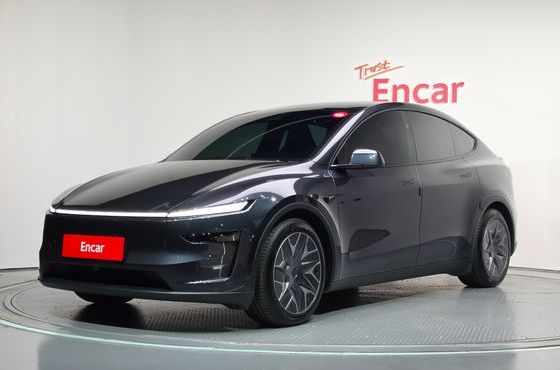 Tesla Model Y L Long Range AWD — пробег 11 494 км — фото 1 из 5