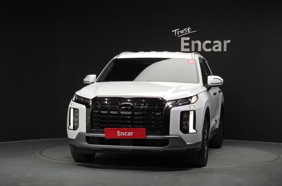 Hyundai Palisade Diesel 2.2 2WD Exclusive — пробег 31 265 км — фото 3 из 5